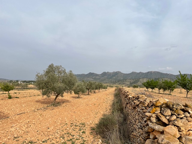 Finca for sale in Yecla, Murcia, Spain