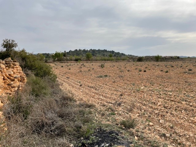Finca for sale in Yecla, Murcia, Spain