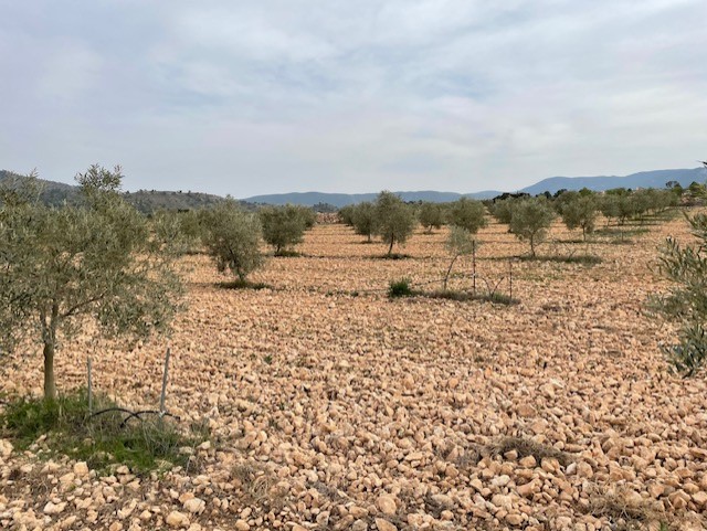 Finca for sale in Yecla, Murcia, Spain