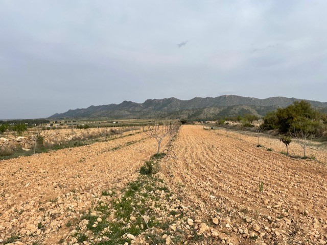 Finca for sale in Yecla, Murcia, Spain