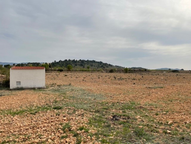 Finca for sale in Yecla, Murcia, Spain