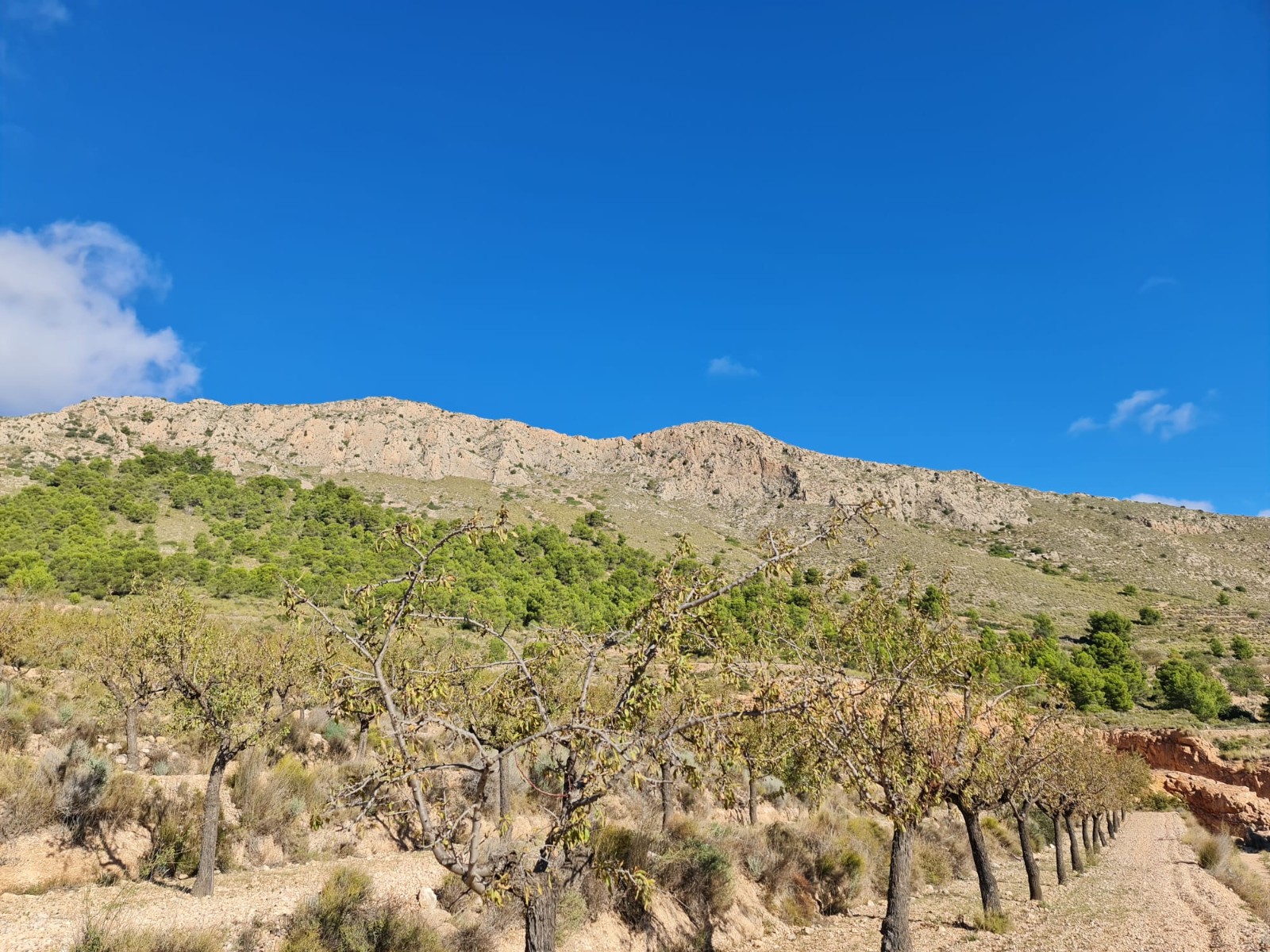Finca en venta en La Romana