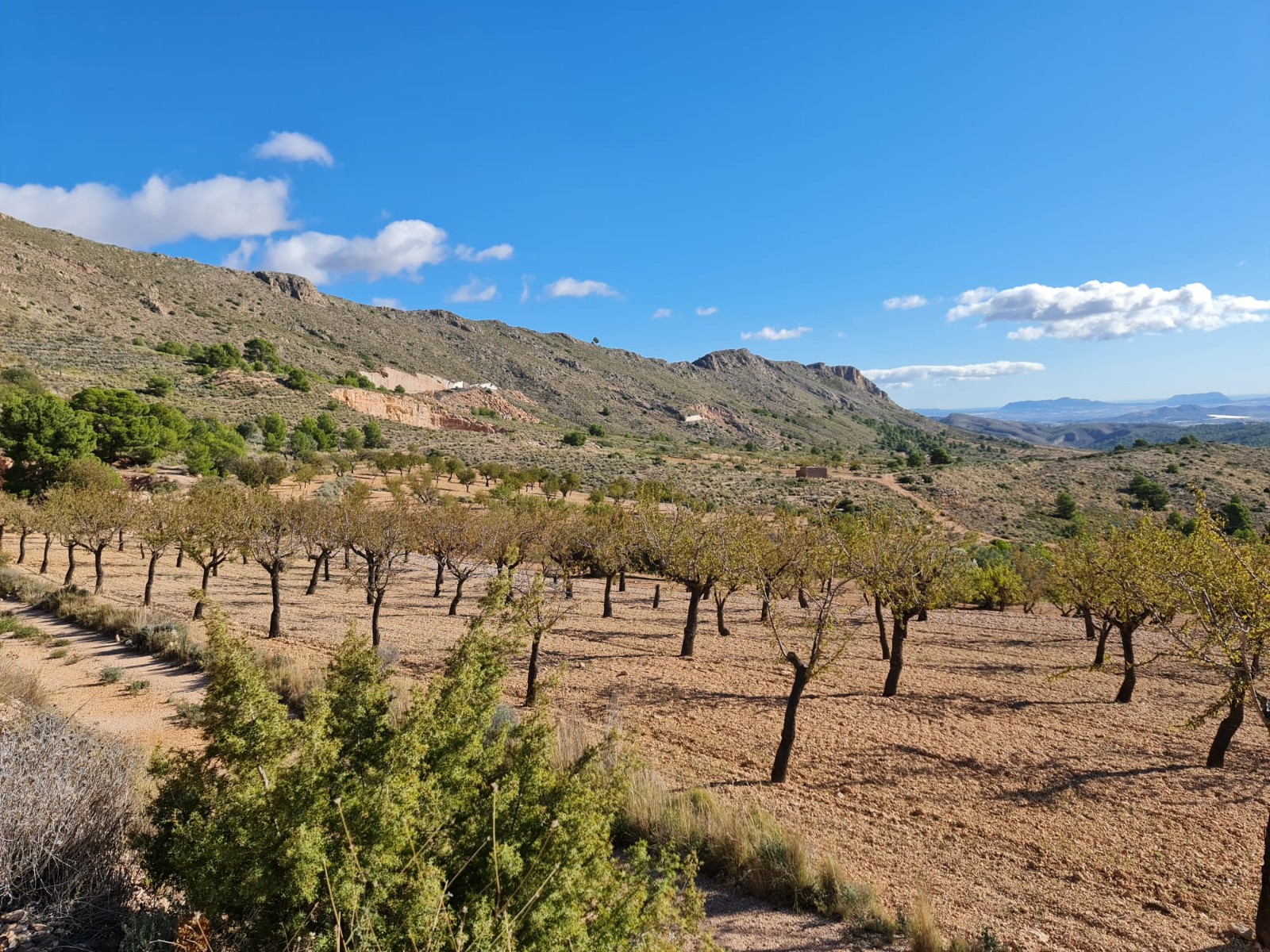 Finca en venta en La Romana