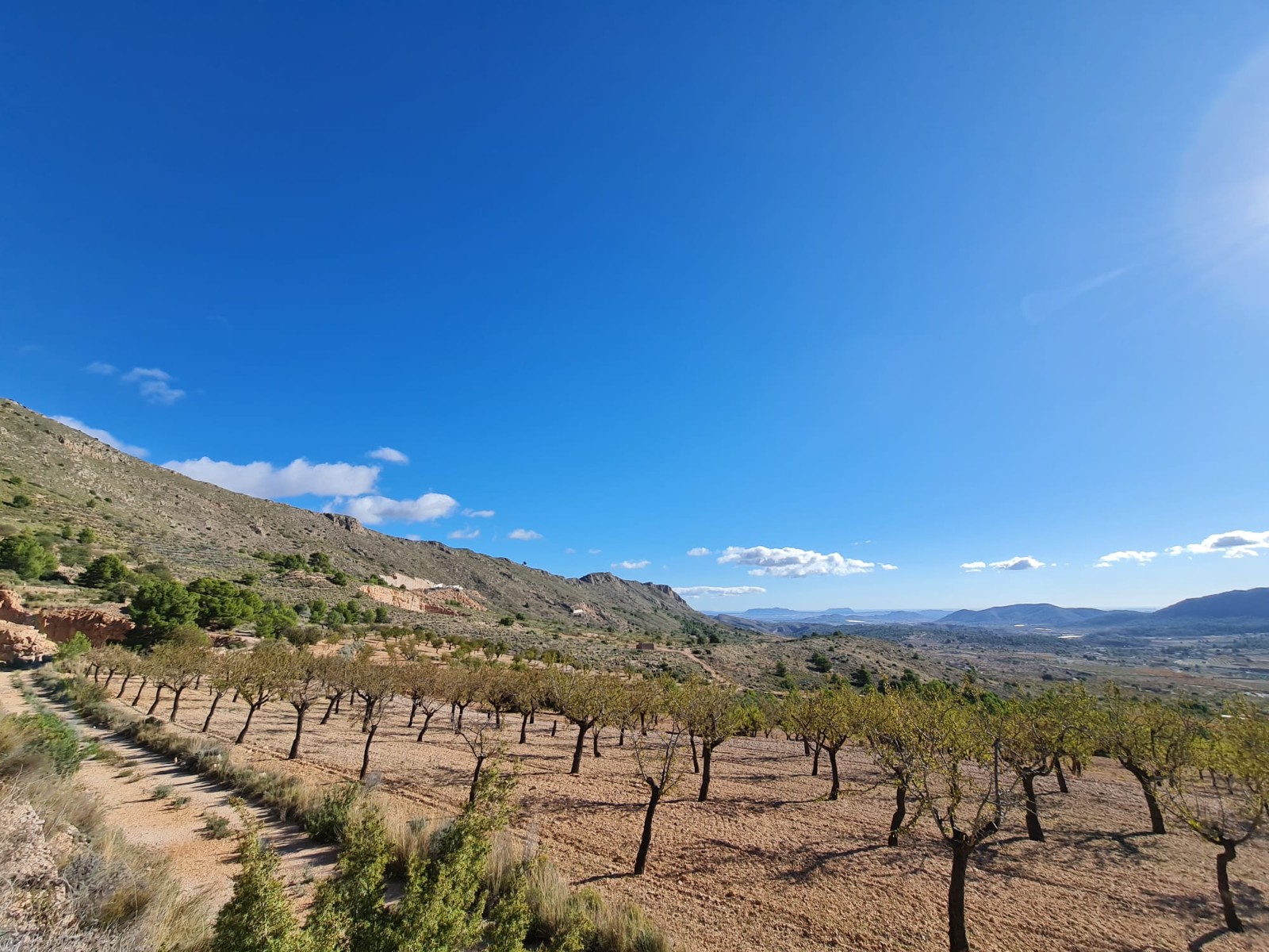 Finca en venta en La Romana