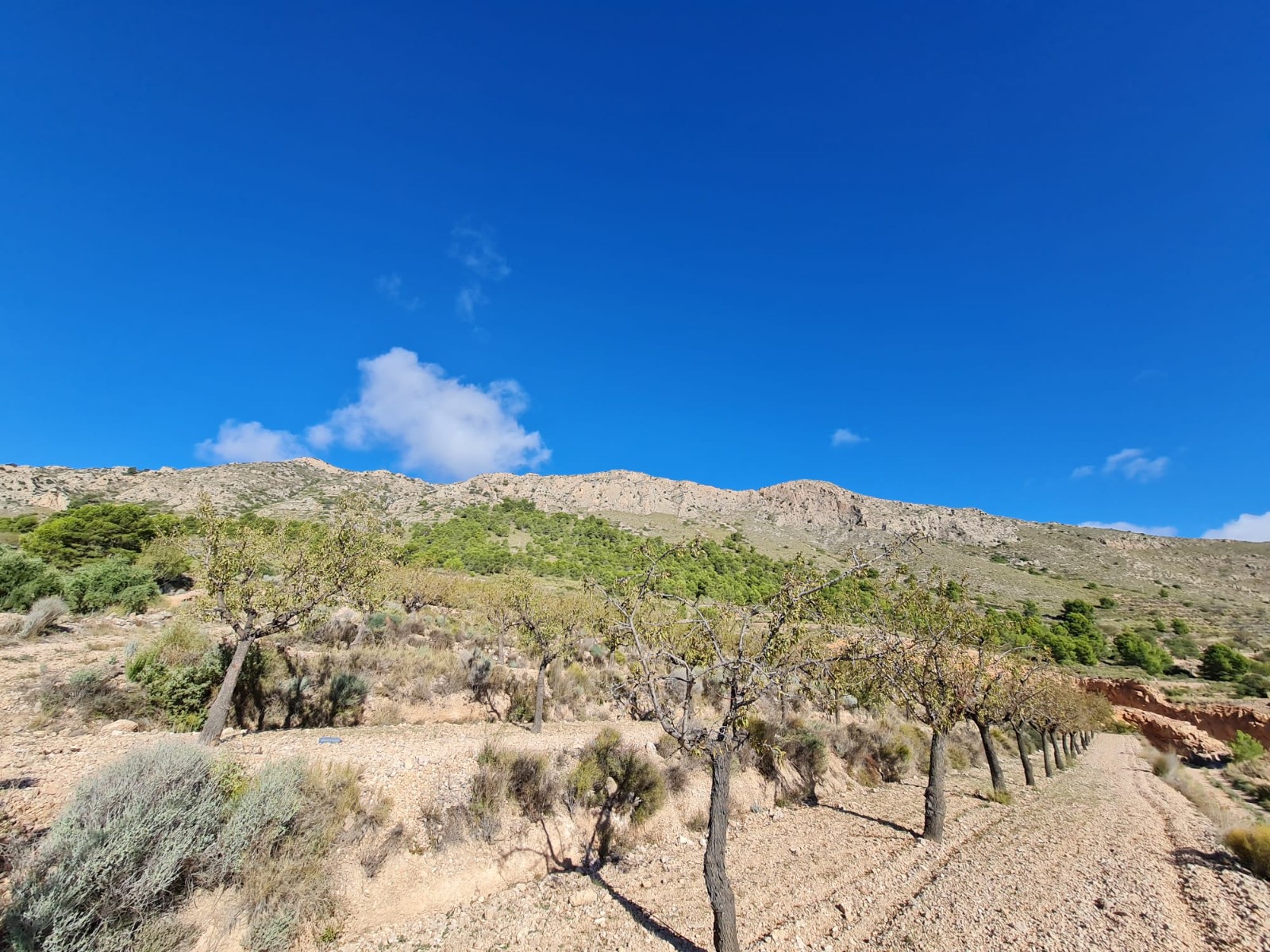 Finca en venta en La Romana