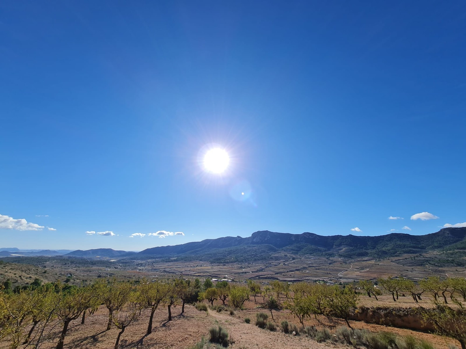 Finca en venta en La Romana