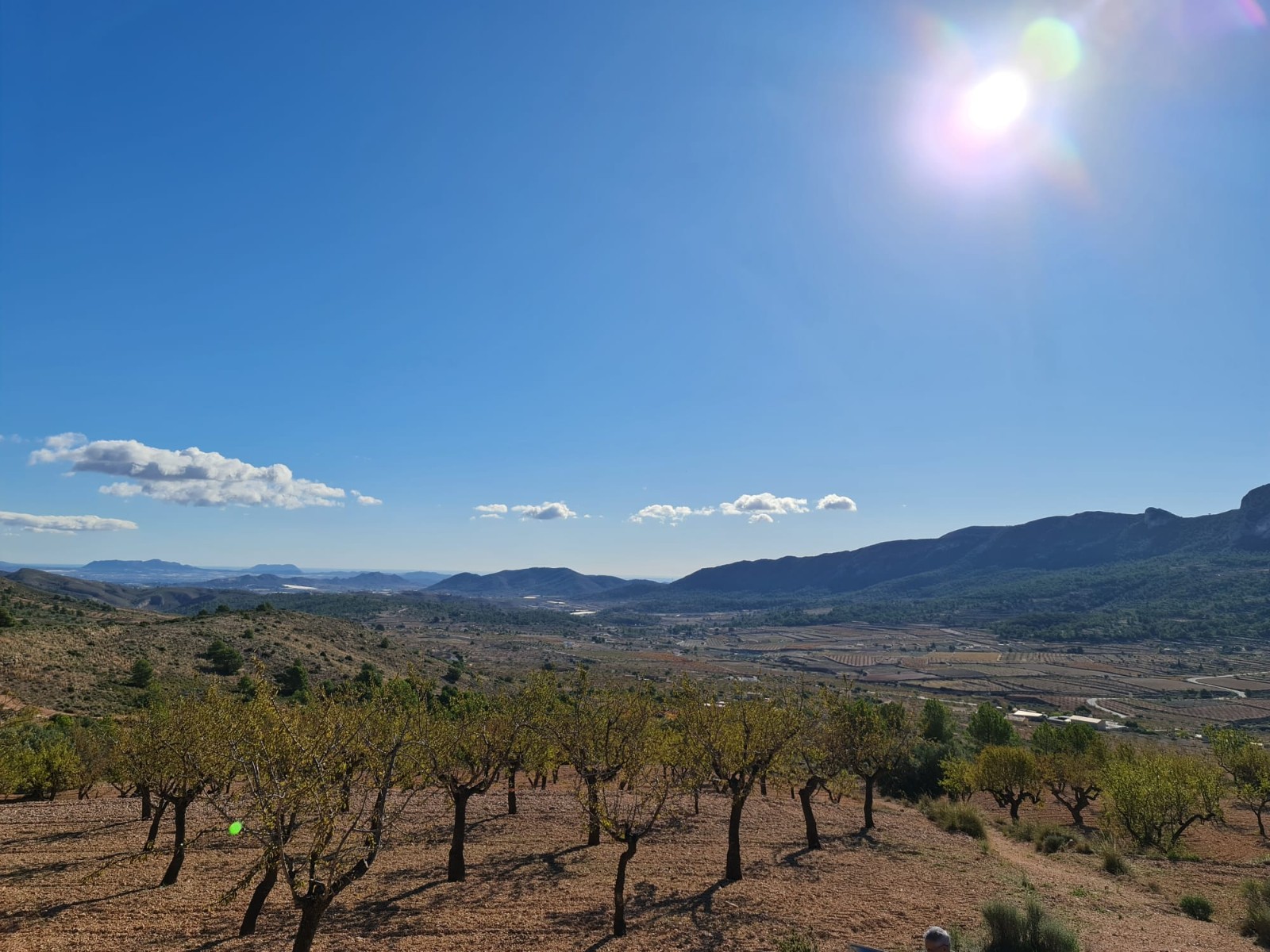 Finca en venta en La Romana