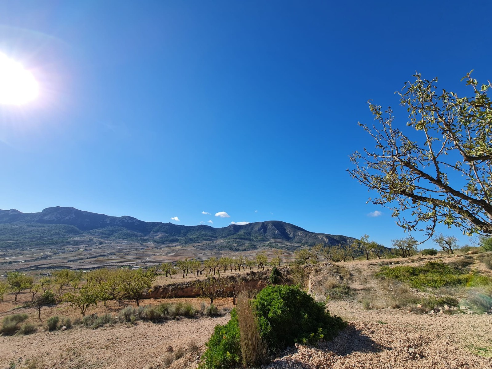 Finca en venta en La Romana