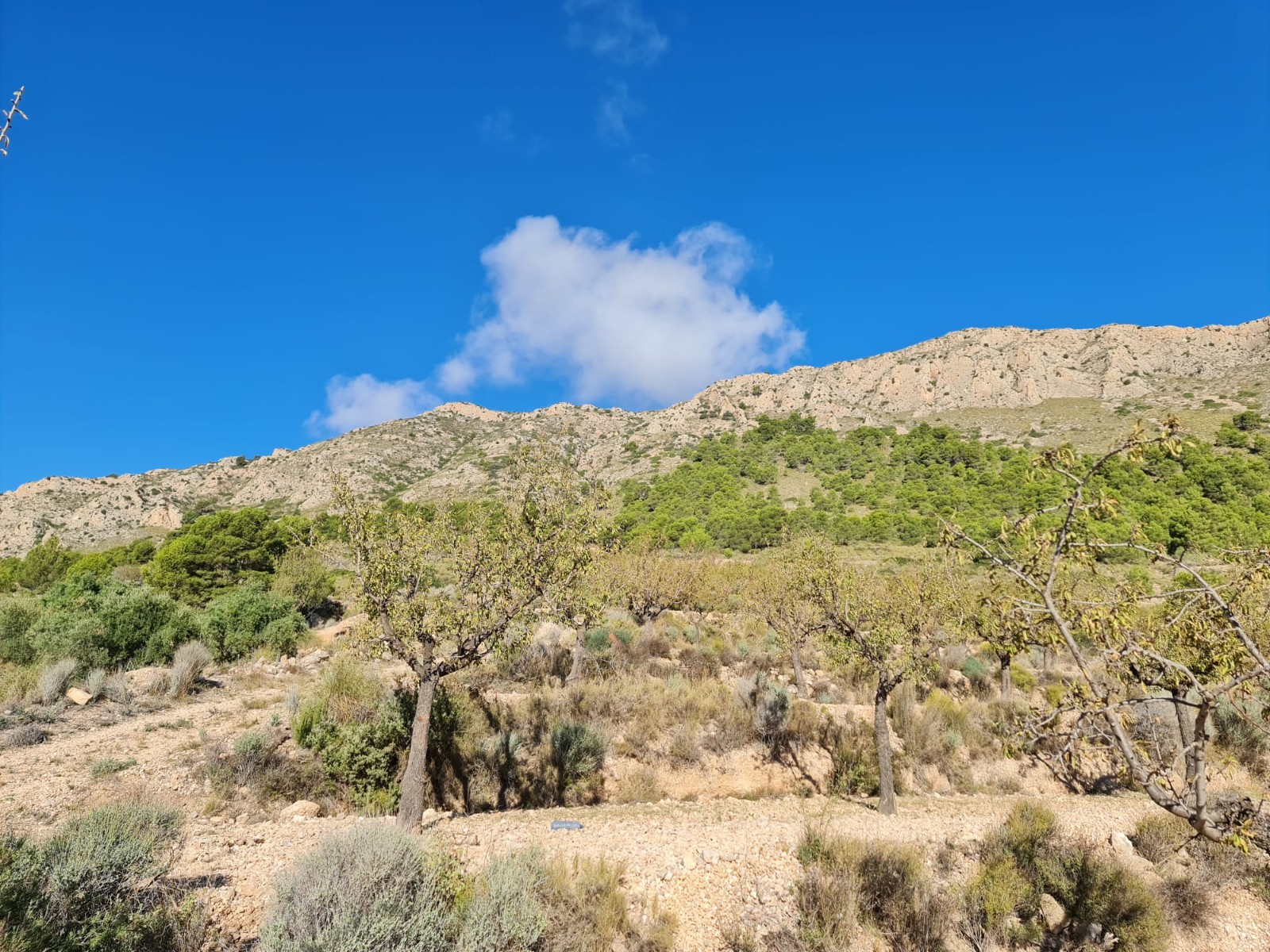 Finca en venta en La Romana