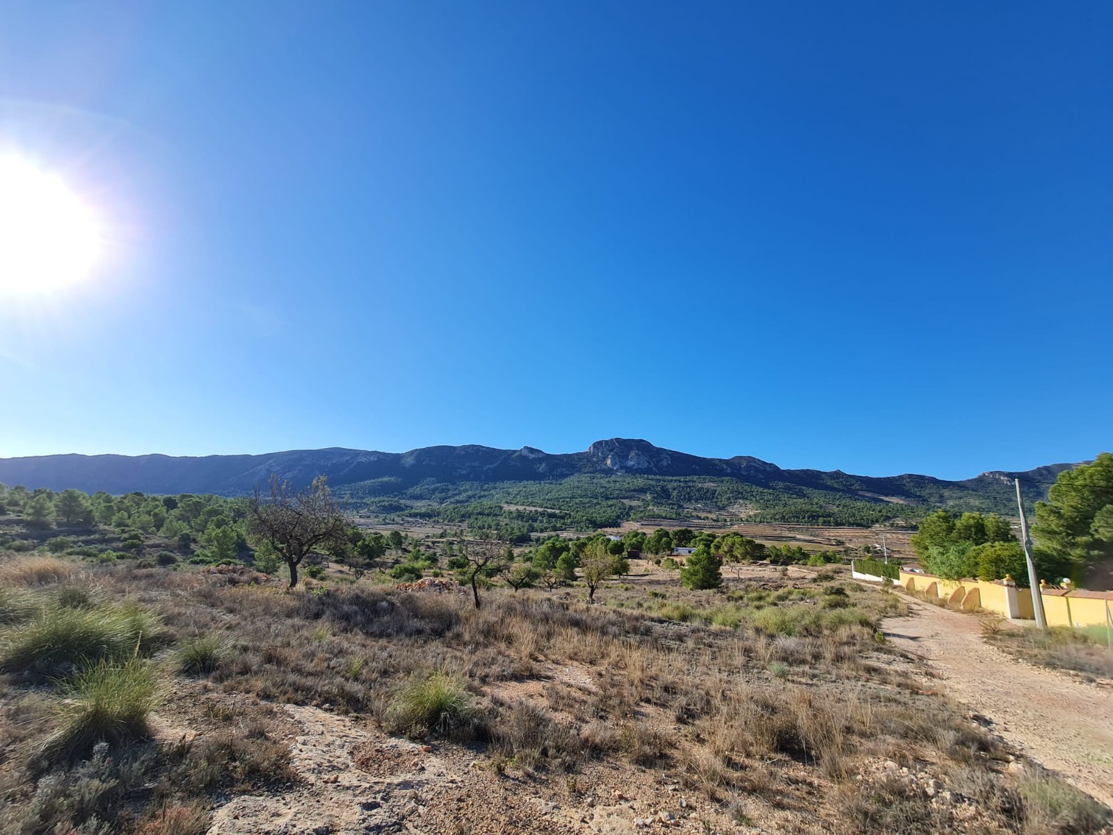 Finca for sale in La Romana, Alicante, Spain