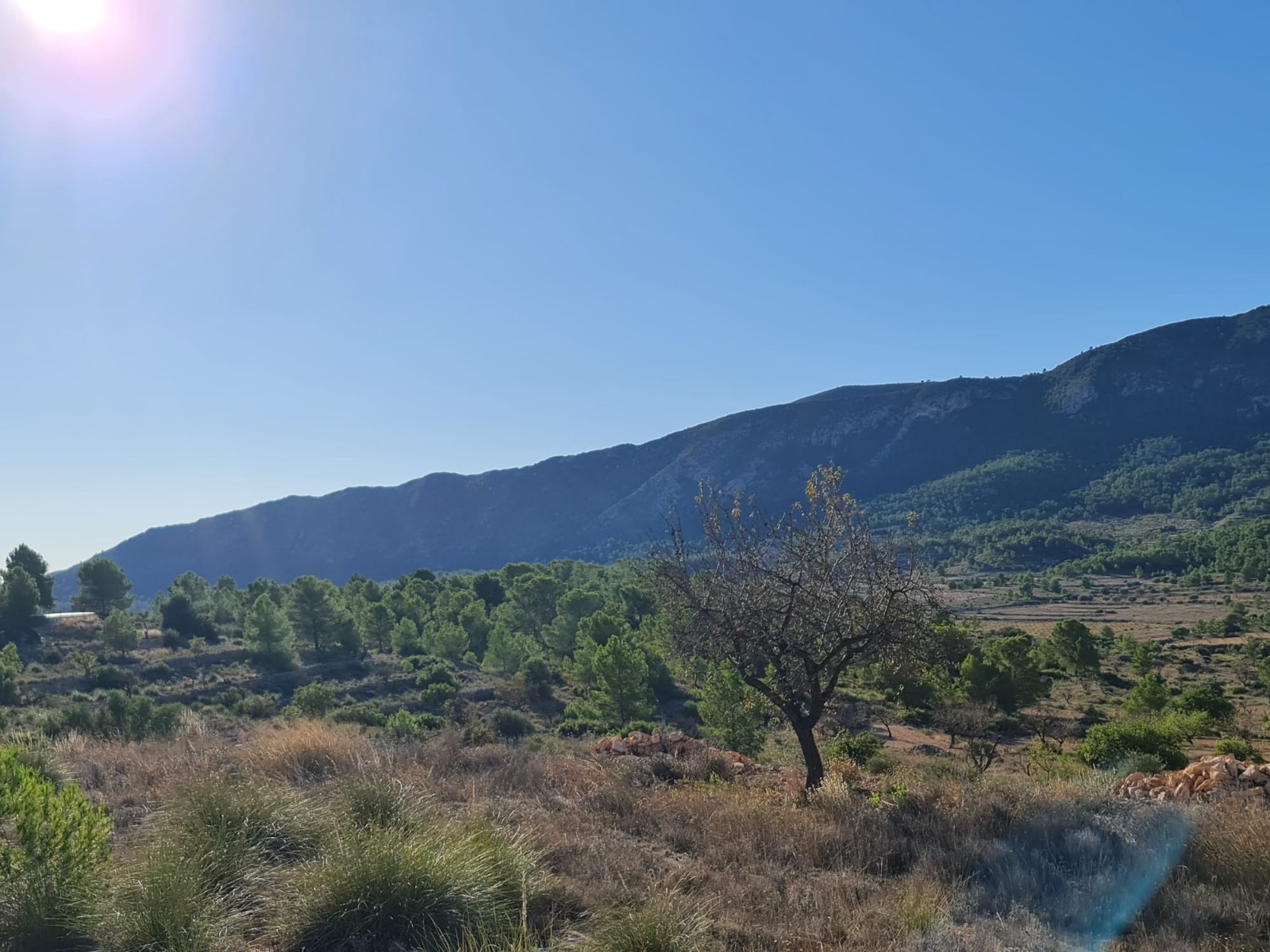 Finca for sale in La Romana, Alicante, Spain