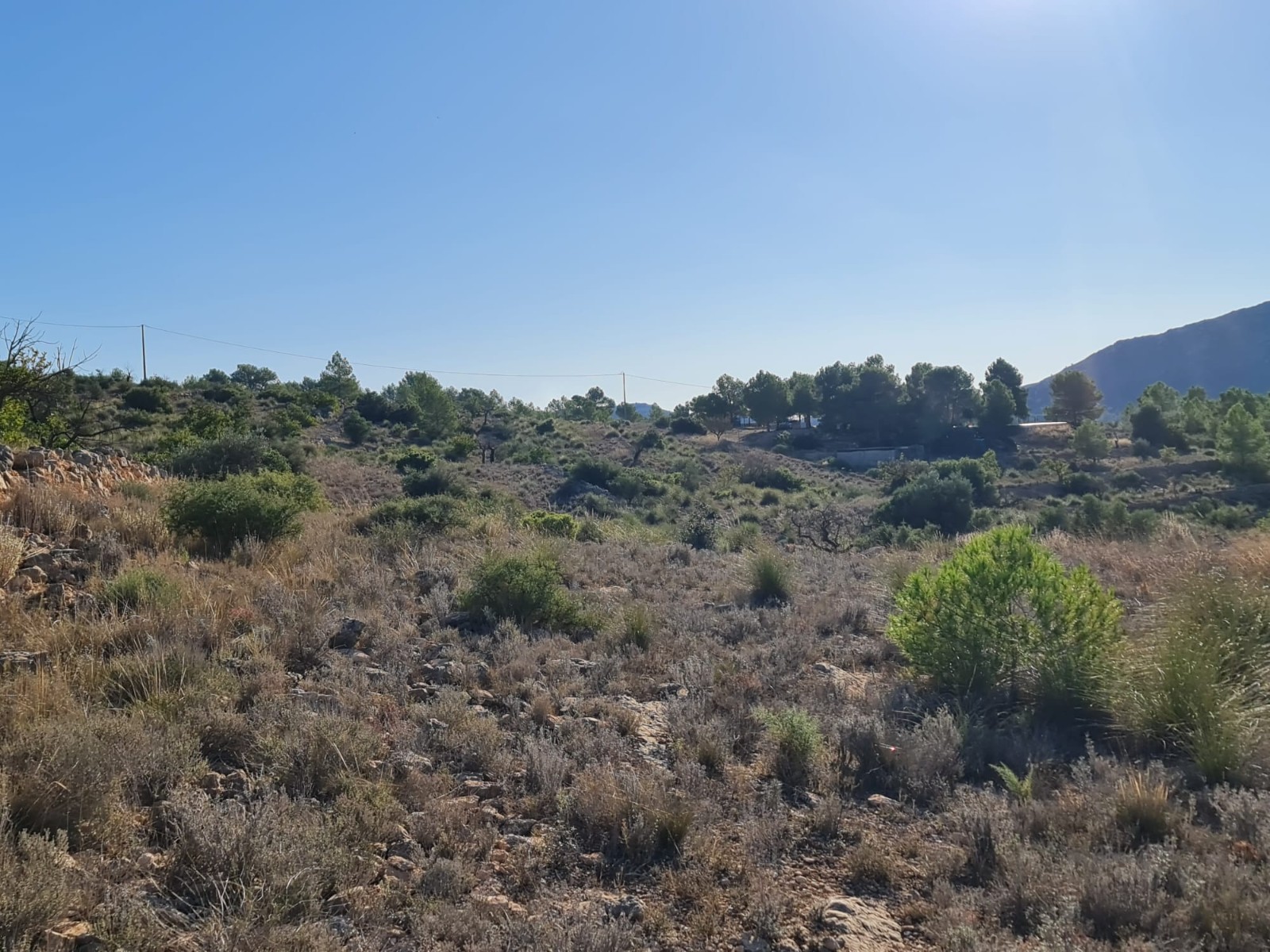 Finca for sale in La Romana, Alicante, Spain