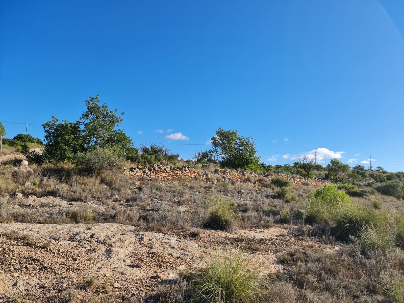Finca for sale in La Romana, Alicante, Spain
