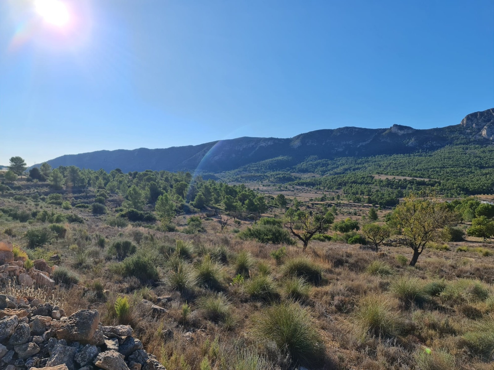 Finca for sale in La Romana, Alicante, Spain