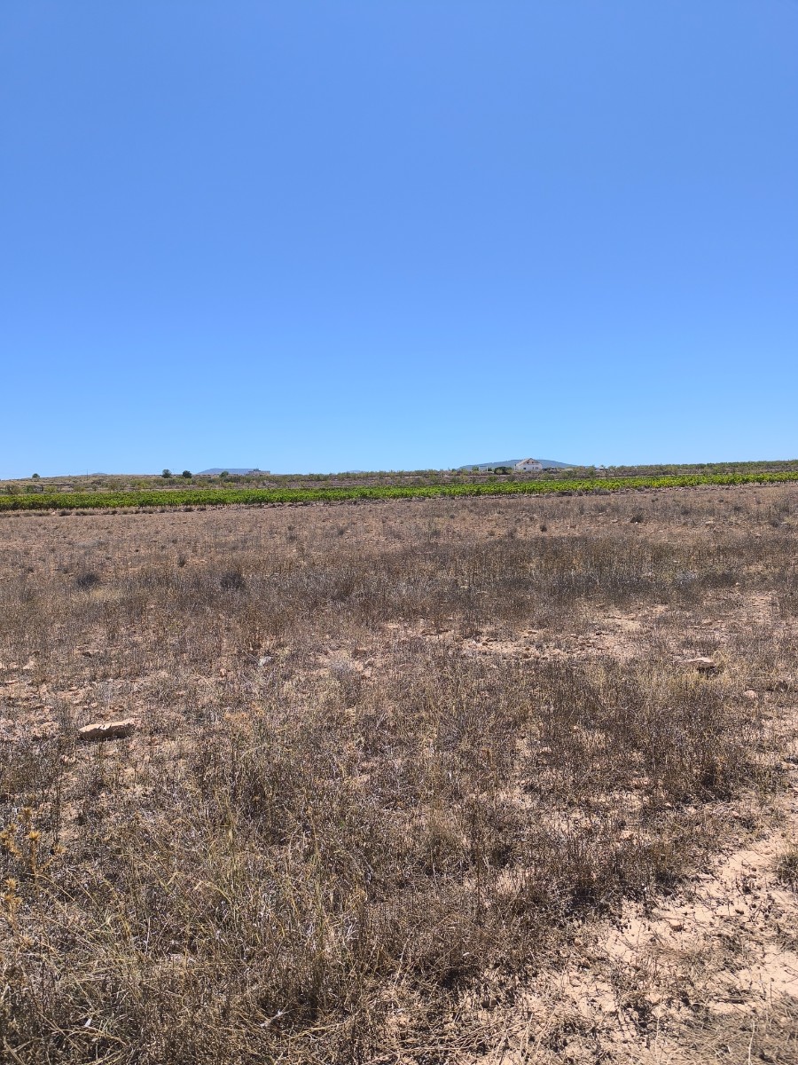 Finca for sale in Pinoso, Alicante, Spain