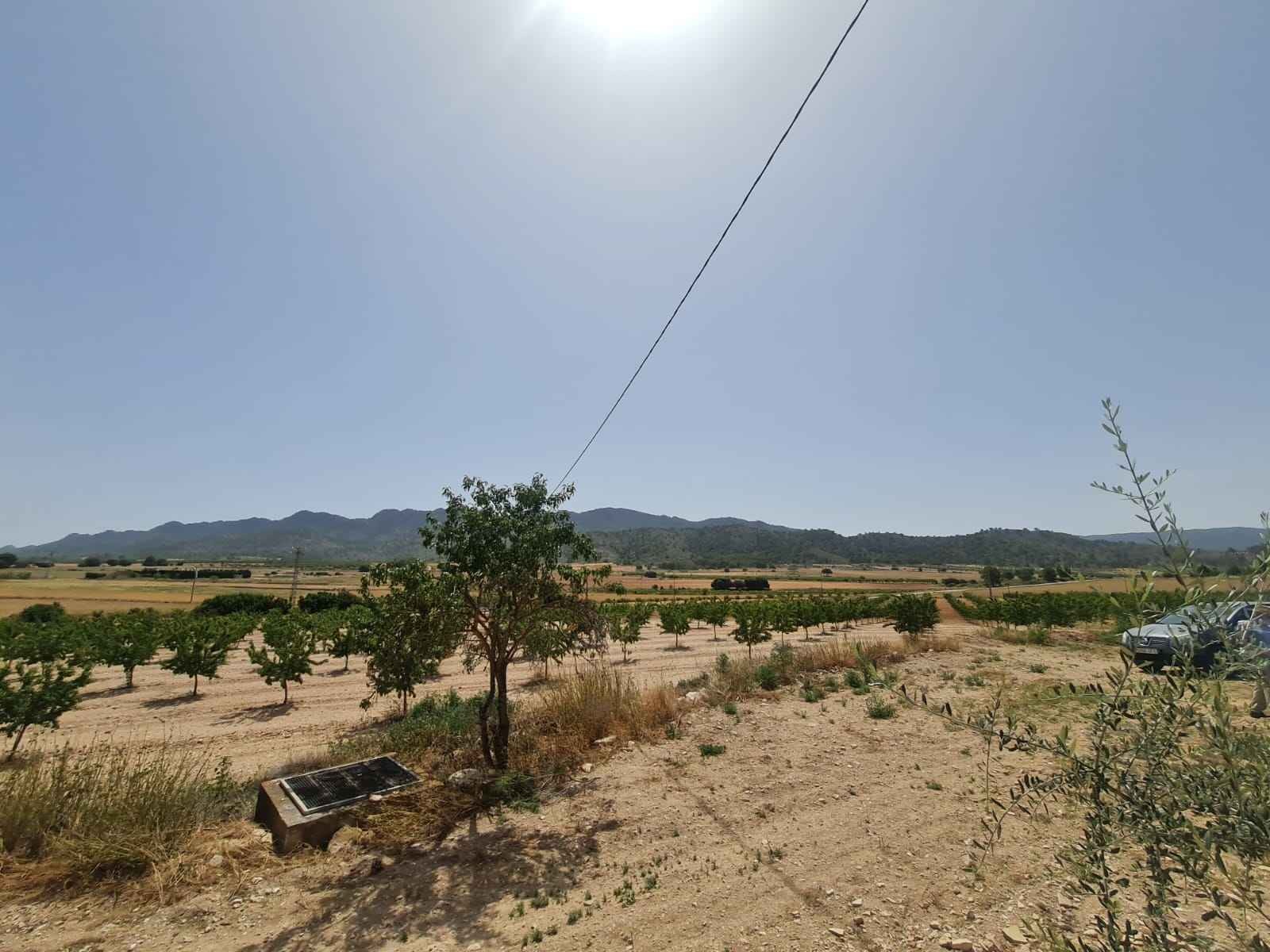 Finca for sale in Yecla, Murcia, Spain