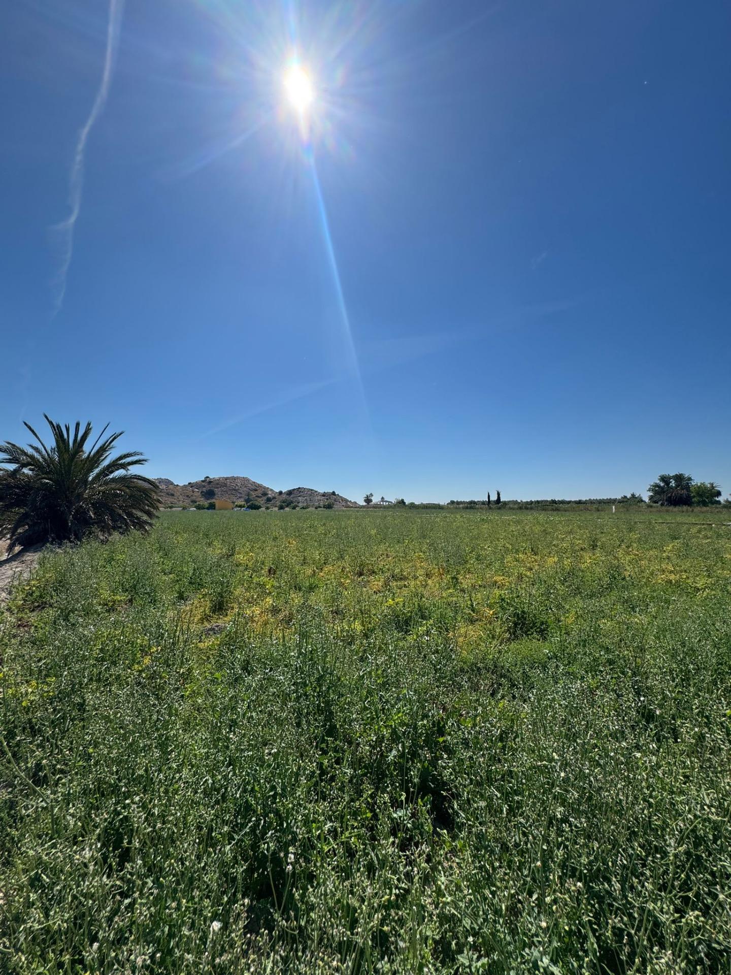 Finca for sale in Granja De Rocamora, Alicante, Spain
