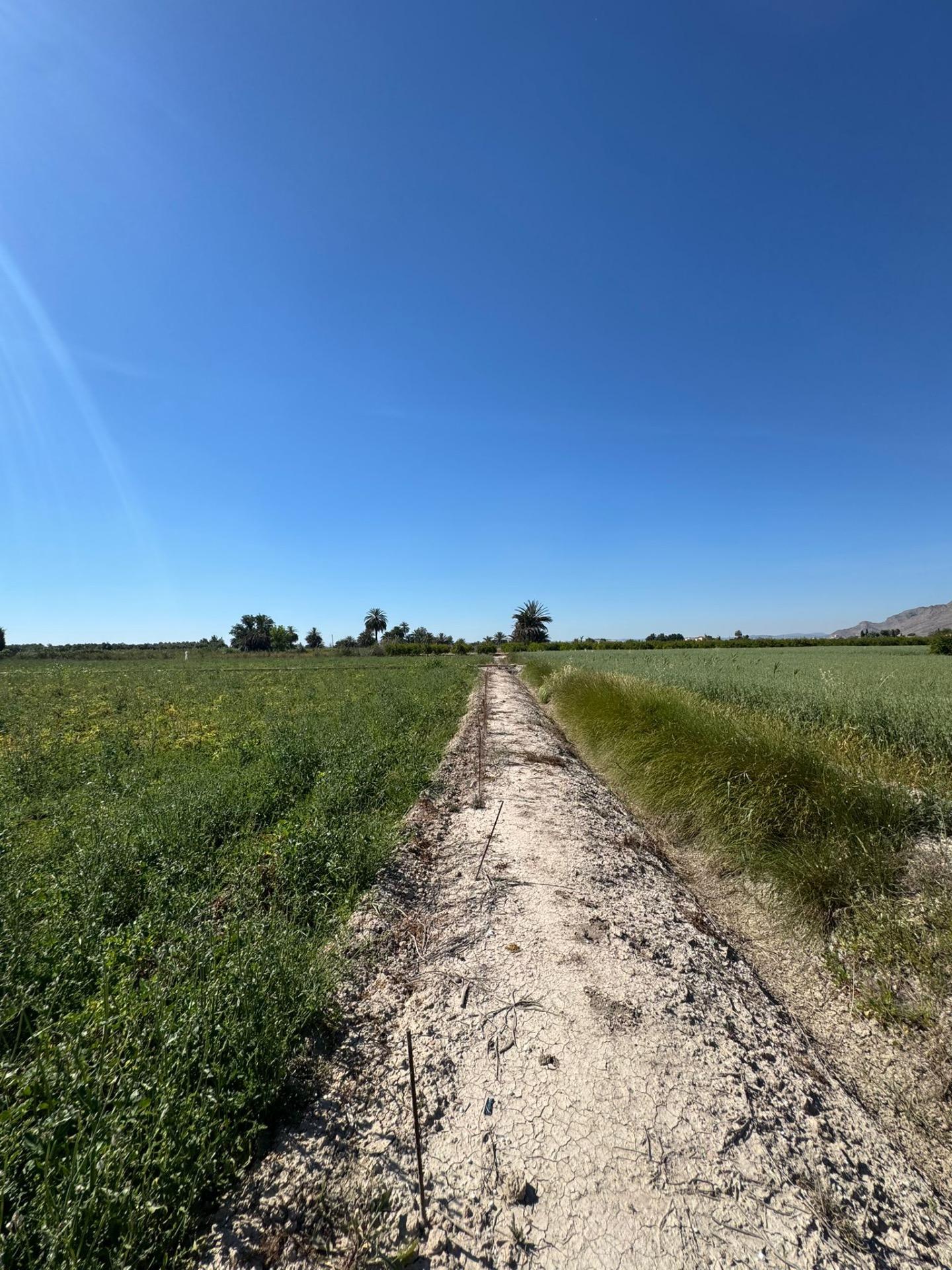 Finca for sale in Granja De Rocamora, Alicante, Spain