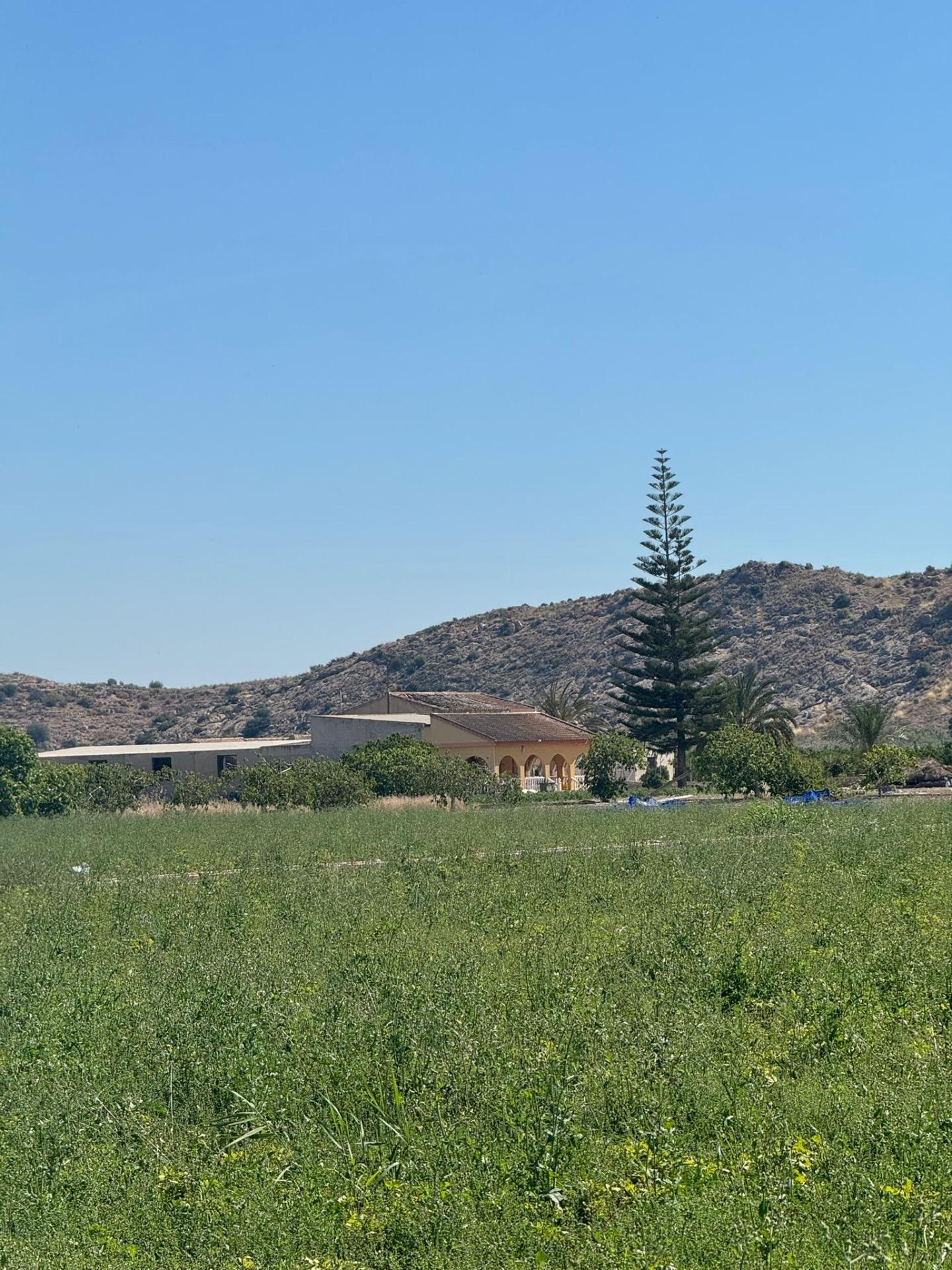 Finca for sale in Granja De Rocamora, Alicante, Spain