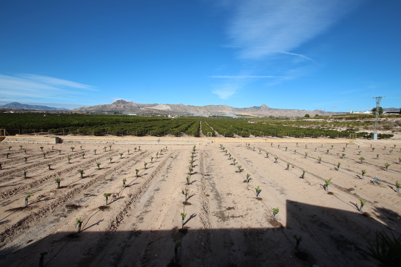 Finca en venta en Murcia