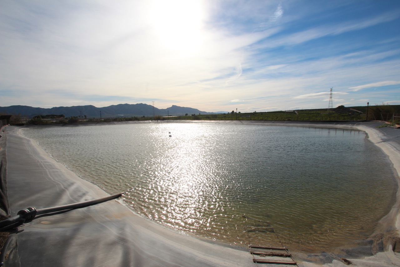 Finca en venta en Murcia