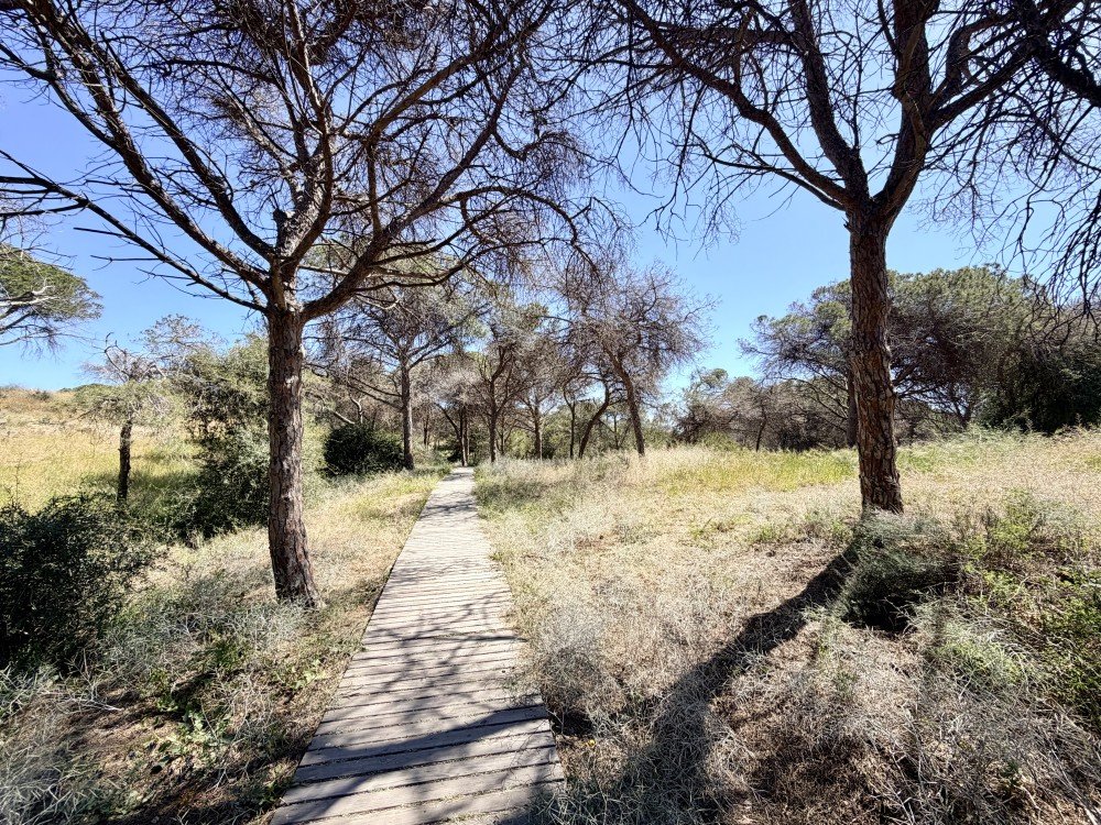 Piso en venta en Guardamar Del Segura