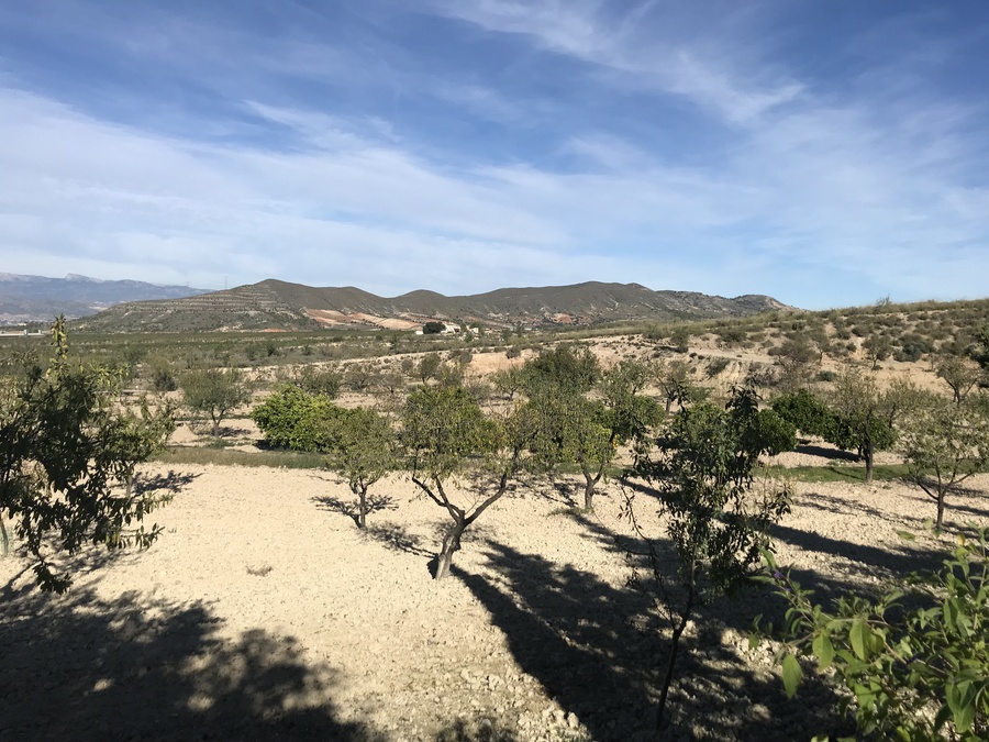 Finca en venta en Lorca