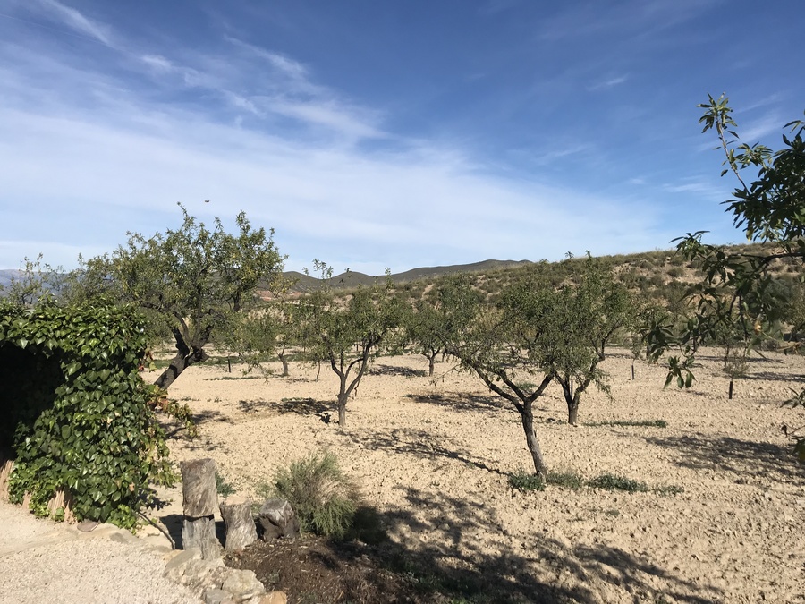 Finca en venta en Lorca