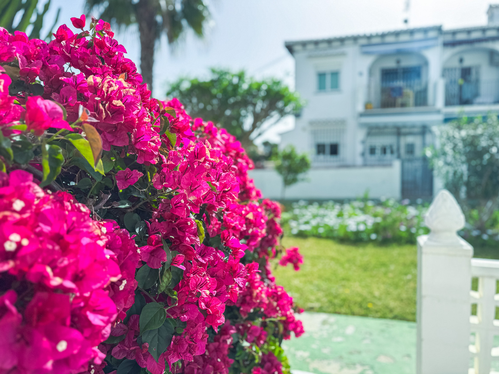 Bungalow for sale in Torrevieja, Alicante, Spain