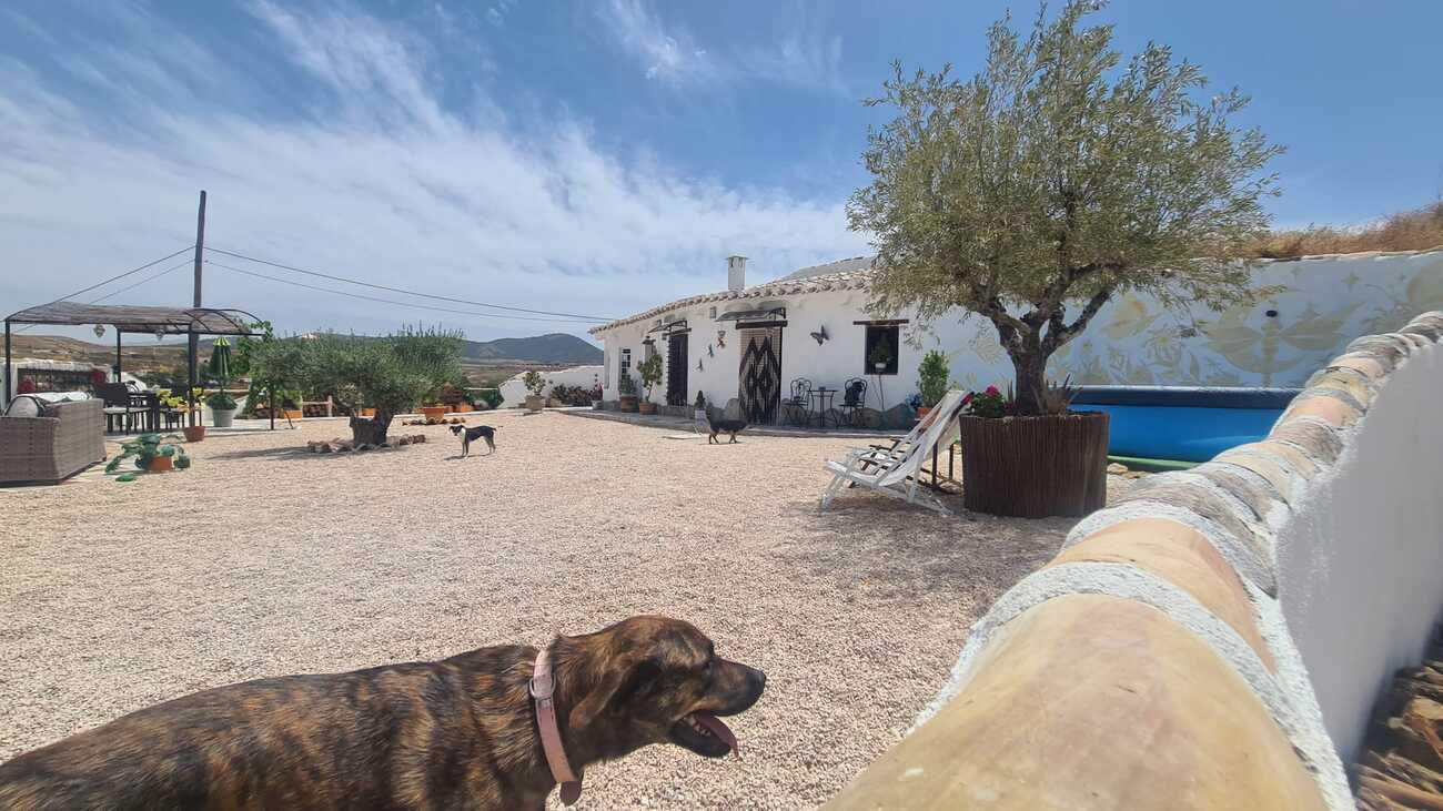 Other en venta en Orce