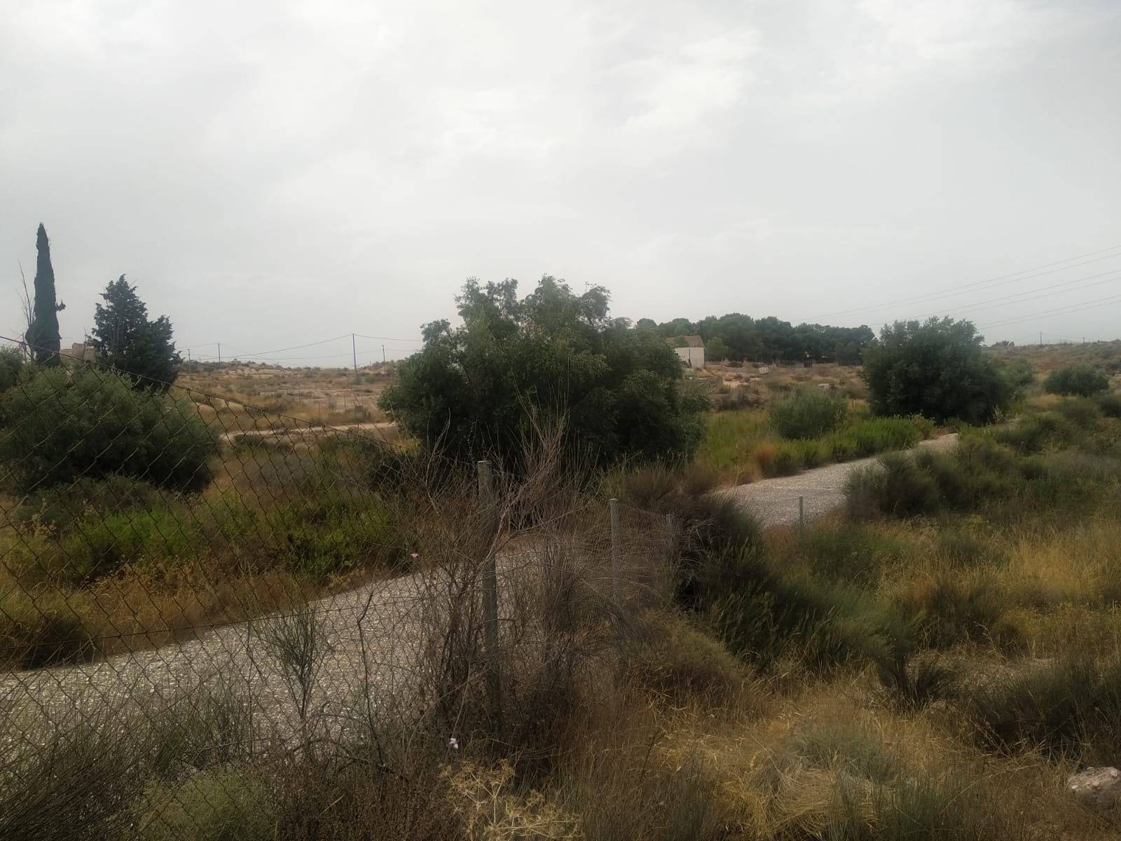 Finca for sale in Molina De Segura, Murcia, Spain
