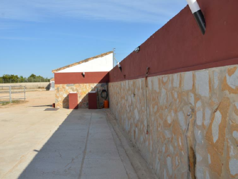 Finca for sale in San Miguel De Salinas, Alicante, Spain