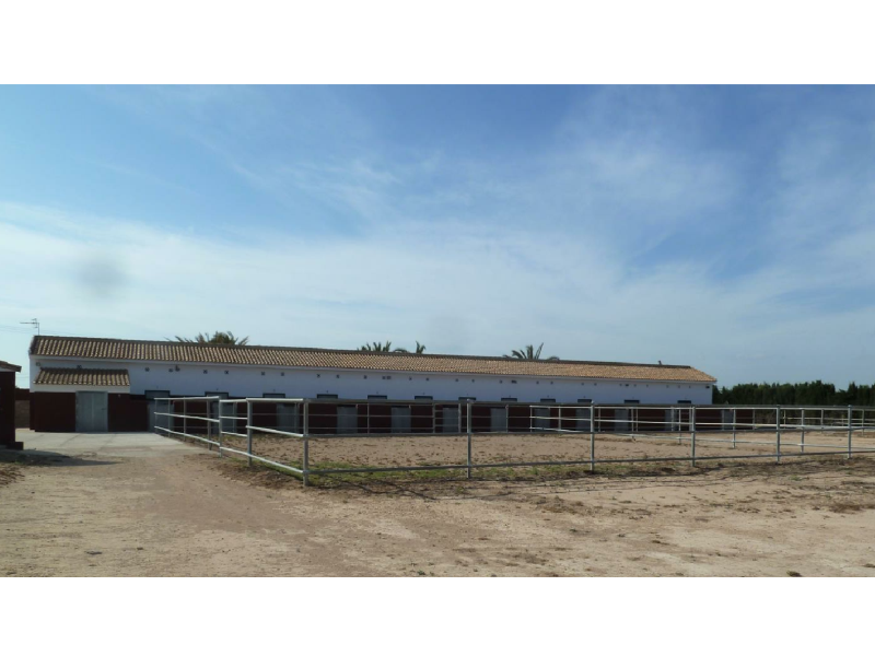 Finca for sale in San Miguel De Salinas, Alicante, Spain
