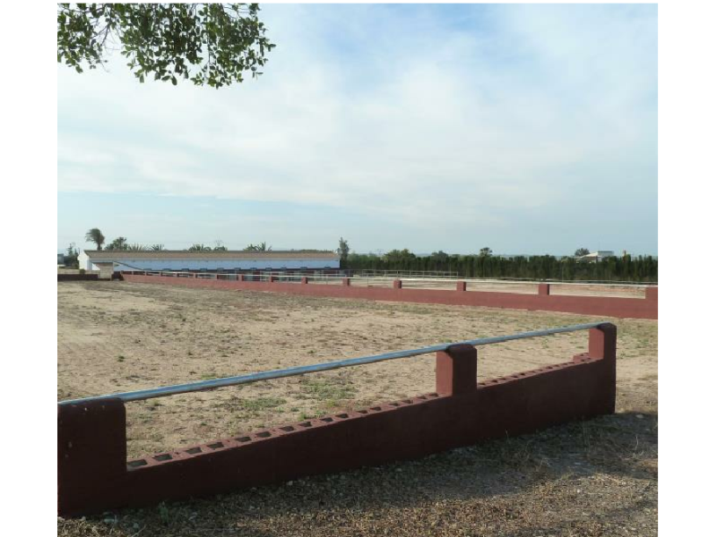 Finca for sale in San Miguel De Salinas, Alicante, Spain