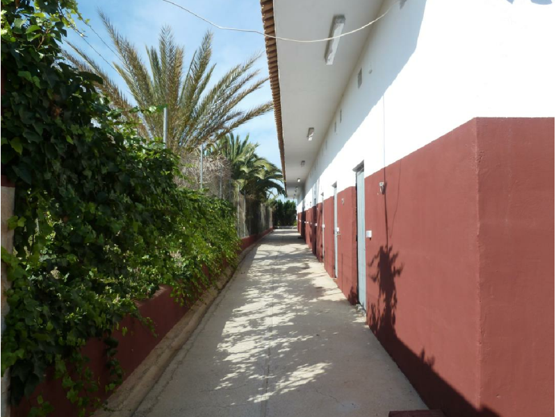Finca for sale in San Miguel De Salinas, Alicante, Spain