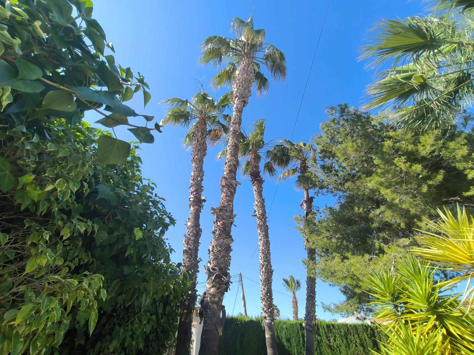 Villa for sale in Torrevieja, Alicante, Spain