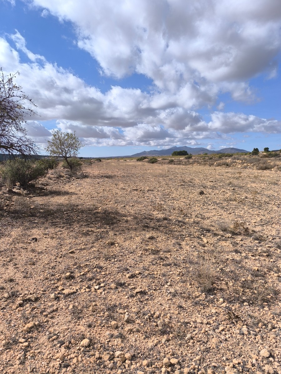 Finca for sale in Pinoso, Alicante, Spain