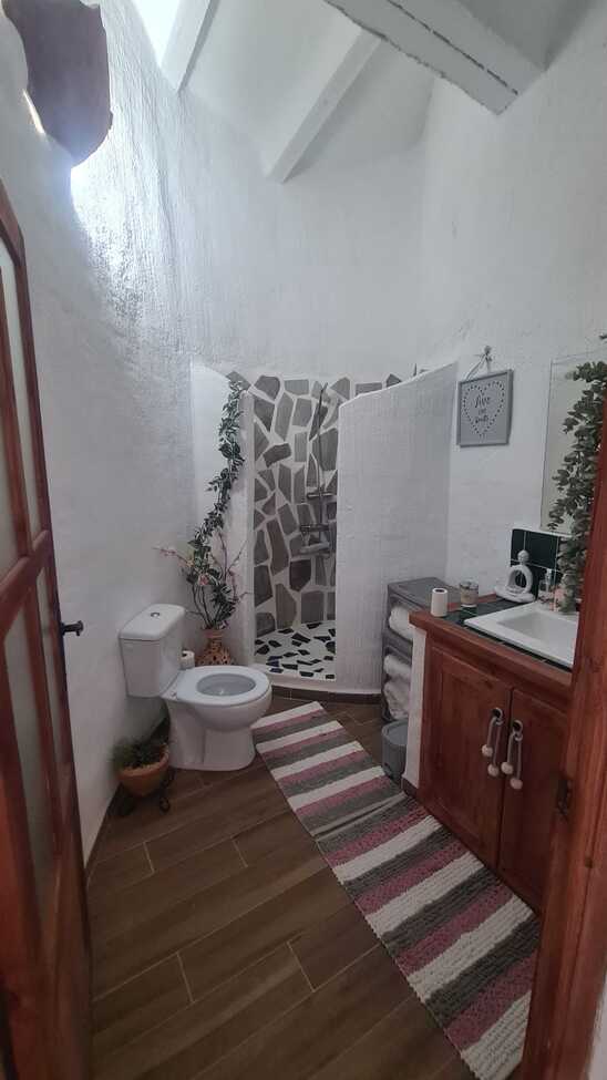 Other en venta en Orce