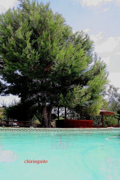 Casa de Campo en venta en Murcia