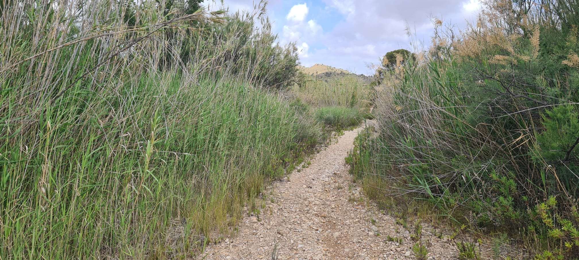 Finca en venta en Murcia