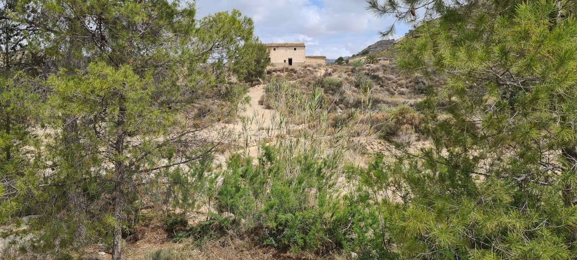 Finca en venta en Murcia