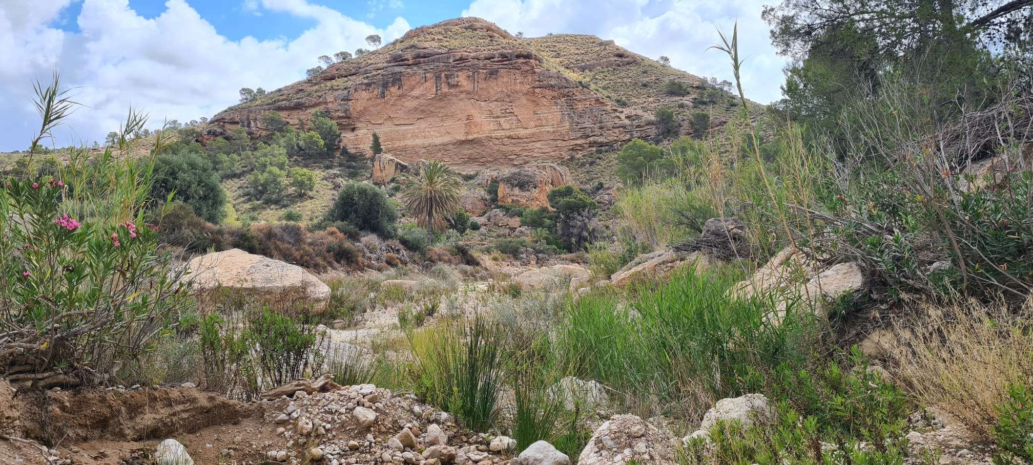 Finca en venta en Murcia