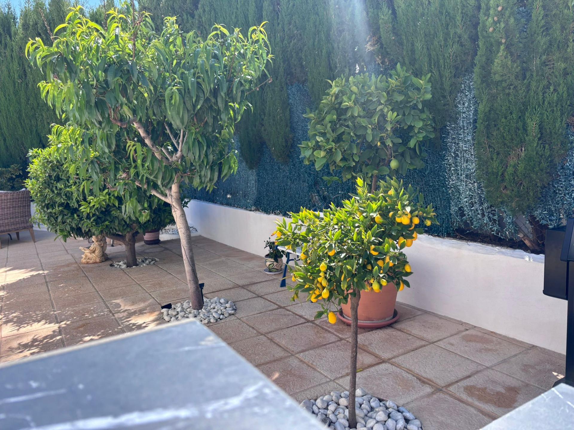 Semi Detached for sale in Torrevieja, Alicante, Spain