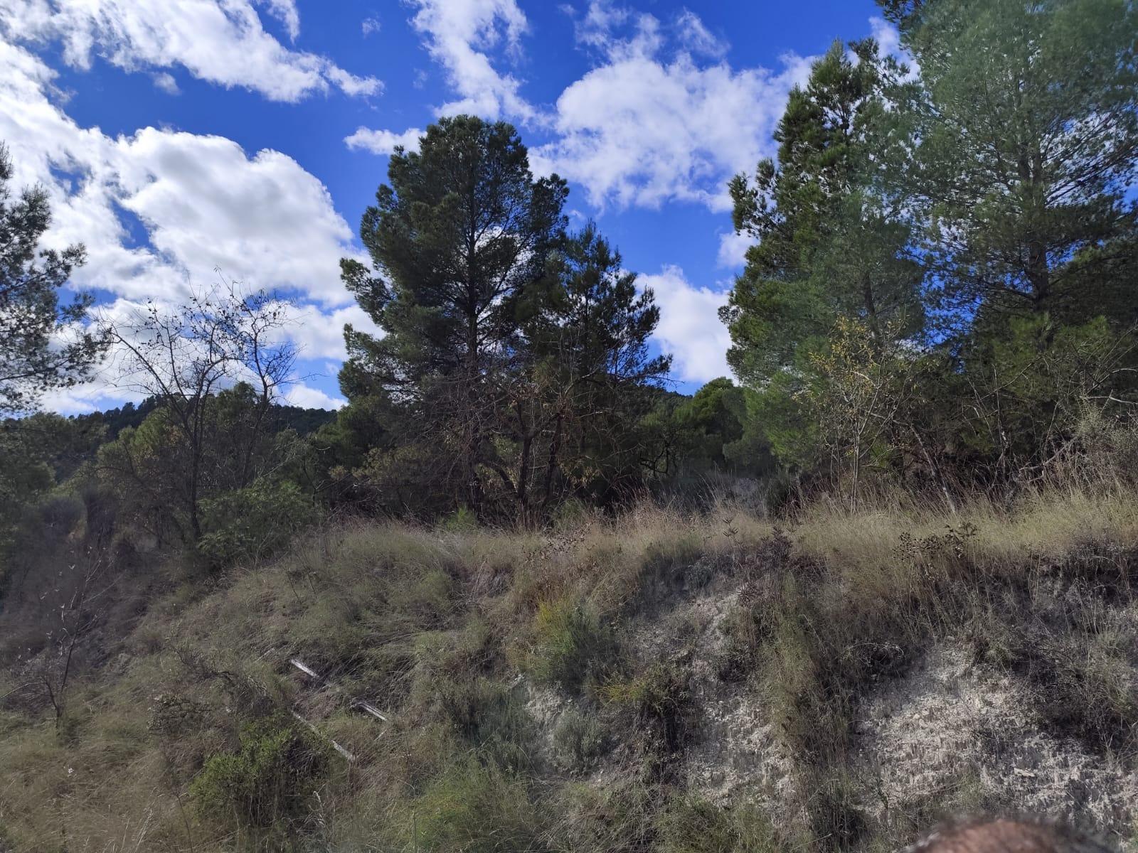 Finca for sale in Moratalla, Murcia, Spain