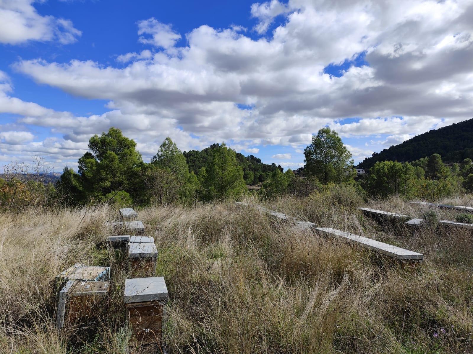 Finca for sale in Moratalla, Murcia, Spain