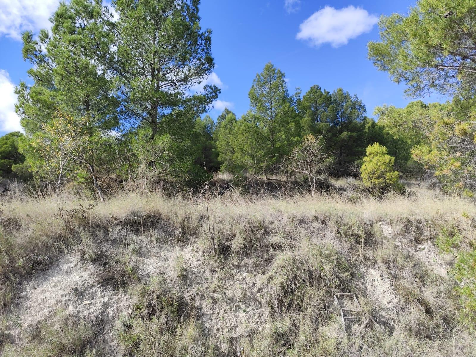 Finca for sale in Moratalla, Murcia, Spain