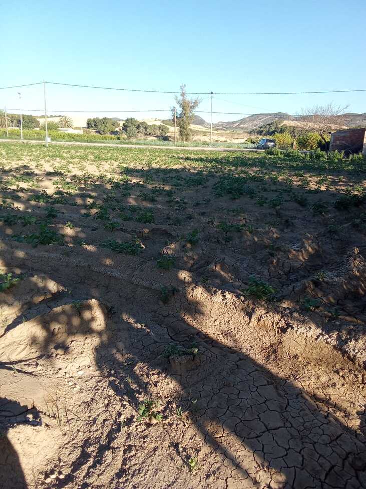 Casa de Campo en venta en Arneva