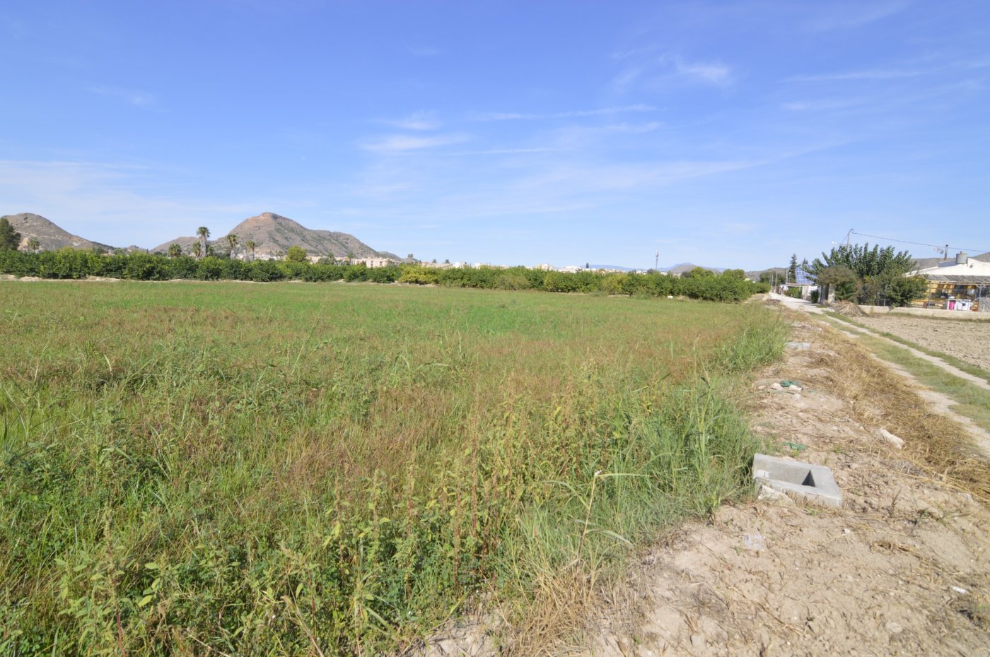 Finca en venta en Santomera