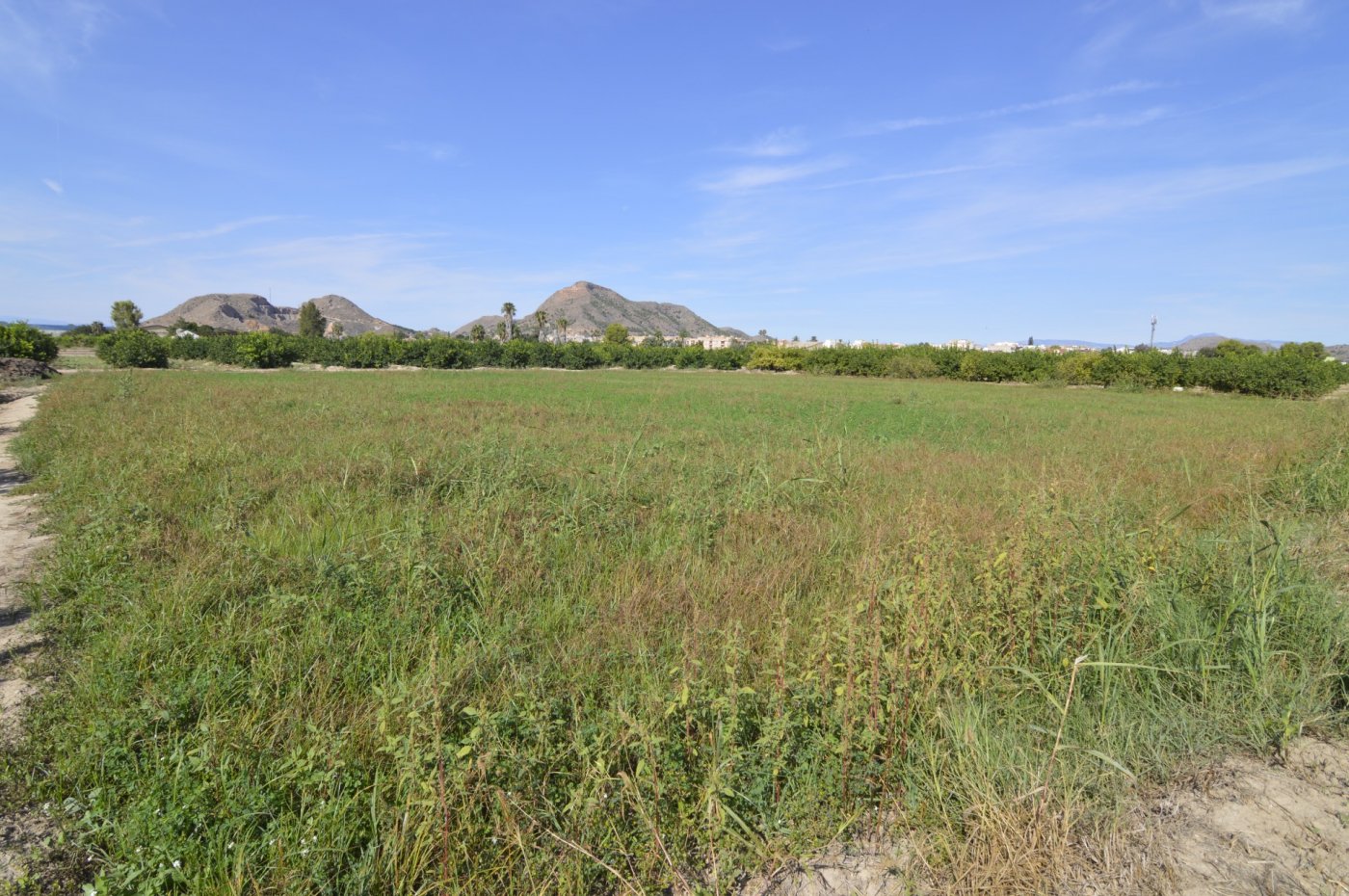 Finca en venta en Santomera