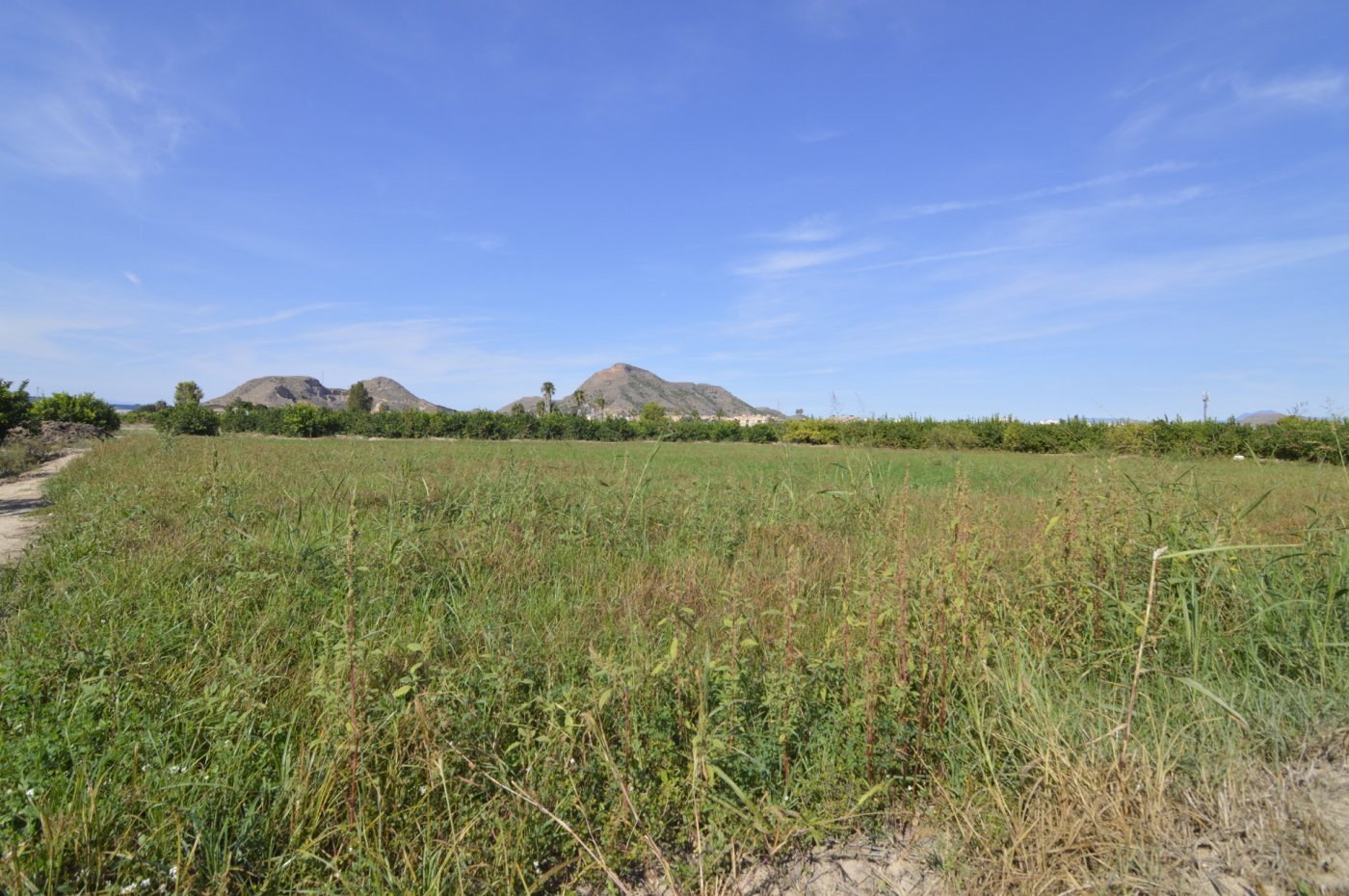 Finca en venta en Santomera
